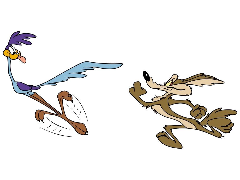 coyote y correcaminos